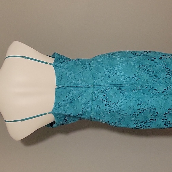 Bisou Bisou Lace Cocktail Dress - Picture 5 of 6